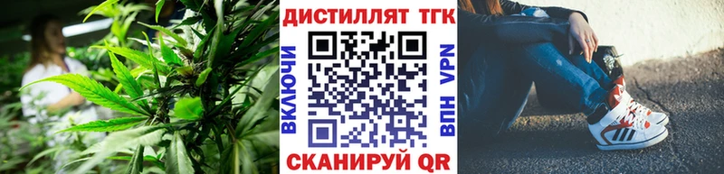 shop клад  Пудож  ТГК THC oil 