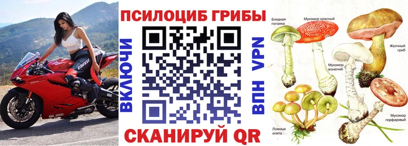 Псилоцибиновые грибы Cubensis Пудож